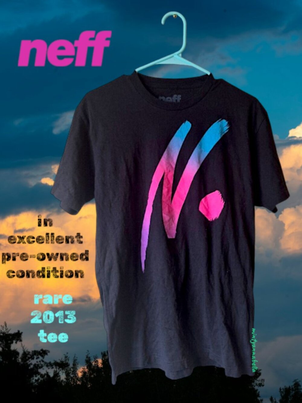 Neff 2013 Tee